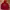 GAP Streetwear Hoody Pria Red