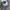 direc tv nascar caps photo 7