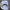 direc tv nascar caps photo 6