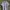 Fred Perry Luxury Casual Polo Shirt Pria White