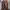 GU Vintage Streetwear Jeans Pria brown photo 2