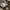 Beautiful people tokyo japan pattern nylon baloon pants photo 6