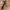 Black women belt photo 2