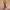 Black women belt photo 1