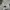 HOODIE CHAMBRE IGNITION BOMB photo 7