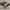 Kanky Kitadake Black Forest size 46 photo 1