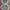 New Balance Sportswear Casual Sneakers Pria cream gray photo 6