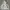 2000's Heavyweight Heather Gray Boxy Hoodie photo 4