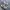 Skechers D’Lites Varsity Spirit Sneakers ‘White Brown Grey’ photo 1