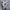 Skechers D’Lites Varsity Spirit Sneakers ‘White Brown Grey’ photo 3