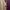 Muslim Maxi dress Wanita multicolor photo 4