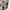 Prada Light Jacket Sportswear Gorpcore photo 6