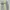 SAGE HALTERNECK LONGDRESS photo 1