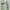 SAGE HALTERNECK LONGDRESS