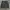 No fear camo cargo shorts pants photo 4