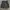 No fear camo cargo shorts pants photo 2