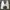 GGDB Golden Gooseneck Deluxe Brand Starter size 41 photo 5