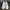 GGDB Golden Gooseneck Deluxe Brand Starter size 41 photo 2