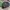 Micros Bomber MA-1 Jacket full bordir not alpha industries  photo 3