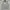 225. Rompi PISAALTO Size  LL P62  LD110 photo 1