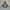 Millet Outerwear Kids white blue photo 1