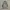 Millet Outerwear Kids white blue photo 3