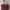 Authentic Longchamp Bag Maroon photo 2