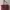 Authentic Longchamp Bag Maroon