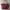 Authentic Longchamp Bag Maroon photo 1