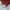 MLB Casual Hoody Pria multicolor photo 5