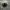 KANGOL WASHED FLATCAP Black photo 6