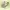 High Heels EVORA photo 3