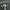 CN guess photo 2