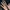 jam tangan thxnsmn (2021) photo 1