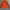 Fjällräven Sportswear Windbreaker Pria orange gray photo 1