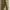 Vintage Korean Sword (Hwando) photo 3