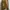 Vintage Korean Sword (Hwando) photo 2