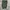 Burberry London VNeck Vest photo 1