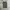 Burberry London VNeck Vest photo 5