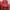 Vintage Pria Red