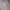 Guess top photo 3