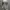 Guess top photo 1
