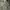 Guess top photo 4
