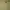 Guess top photo 3