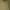 Guess top photo 1