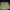 Guess top photo 2