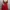 Guess photo 3