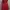Guess photo 1
