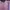 Sportswear Setelan Kids Pink