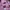 Sportswear Setelan Kids pink photo 4